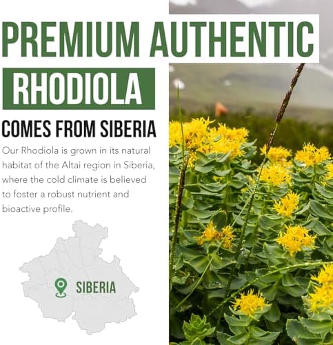 Max Strength Siberian Rhodiola®: Rhodiola Rosea 5% Rosavinas, 2% Salidrosido y BioPerine® para Mejorar la Absorción – Apoya el Estrés, Energía y - imagen 4