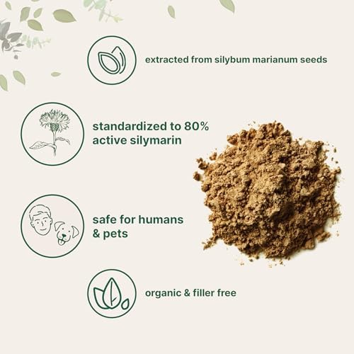 Té en polvo de cardo mariano orgánico, 3.5 onzas | Hasta 400 porciones | Suplemento premium para desintoxicación del hígado | 80% de silimarina - imagen 3