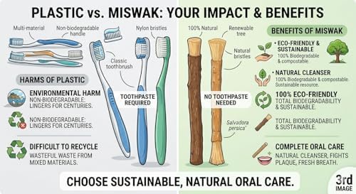 Palitos de Miswak para Dientes (Paquete de 2) – Palitos Siwak Naturales con Soporte de Bambú, Alternativa Orgánica de Cepillo de Dientes Ideal para - imagen 6
