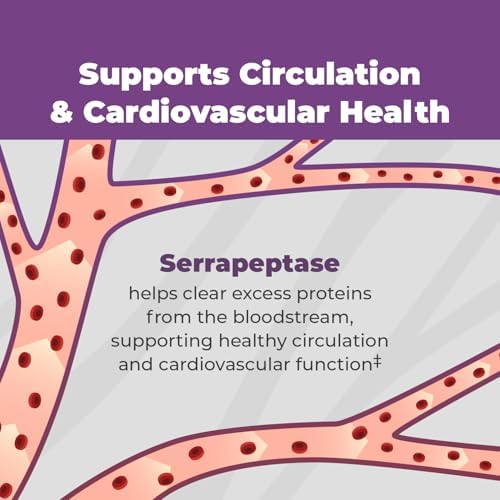 Balance ONE Disruptor de Biofilm – Suplemento de Enzimas Proteolíticas y Defensa con Serrapeptasa y Nattokinasa – Soporte Sistémico y Digestivo – 60 - imagen 4