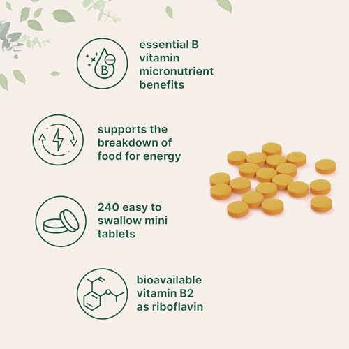 Riboflavina Micro Ingredients 400mg, 240 Mini Tabletas | Suplemento Esencial de Vitamina B2 | Vitaminas B para Energía | Fáciles de Tragar, No GMO - imagen 3