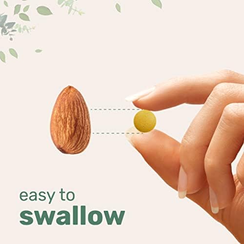 Riboflavina Micro Ingredients 400mg, 240 Mini Tabletas | Suplemento Esencial de Vitamina B2 | Vitaminas B para Energía | Fáciles de Tragar, No GMO - imagen 6