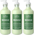 Loción de Manteca de Karité Village Naturals Therapy para Músculos, Aroma de Eucalipto y Menta, 16 fl oz, Paquete de 3 - imagen 1