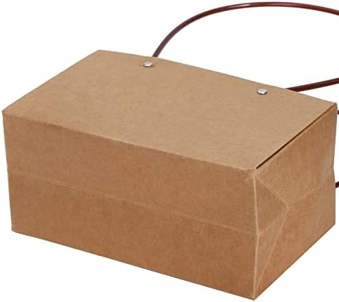DEAYOU Paquete de 10 Bolsas de Papel Kraft para Regalos, Bolsa de Bouquet Marrón con Asa, Tote Pequeña Impermeable para Arreglos Florales y Fiestas - imagen 7