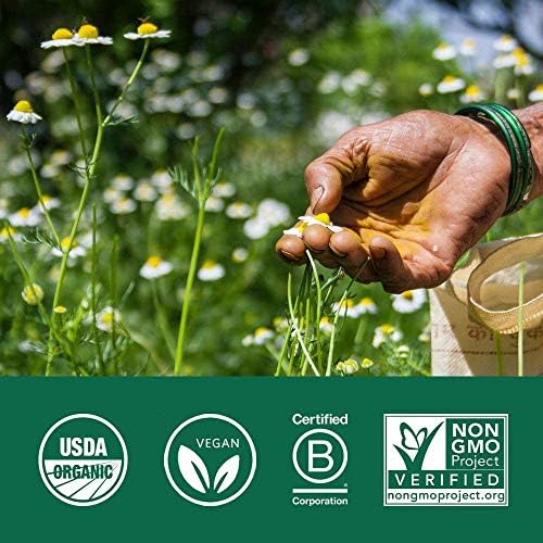 Suplemento Herbal Triphala de Organic India - Amla, Bibhitaki, Haritaki, Apoyo Digestivo y del Colon, Inmunidad, Adaptógeno, Vegano, Orgánico USDA - - imagen 4