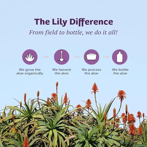 Gel de Aloe Vera Lily Of The Desert - Consistencia Más Espesa, Bebida de Aloe Vera con Vitaminas Naturales y Enzimas Digestivas, 32 Oz (Paquete de 2) - imagen 7