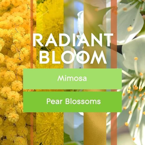 Recarga de Spray Automático Glade, Aroma Radiant Bloom, Ambientador para Hogar y Baño, 6.2 Oz, Paquete de 6 - imagen 6