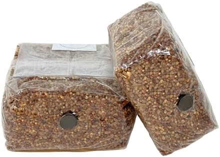 Bolsas de Spawn de Champiñones Premium Myco Labs de 5 Granos | Grano Esterilizado con Puertos de Inyección | 2 Cuartos por Bolsa | 2 Bolsas por Caja - imagen 2