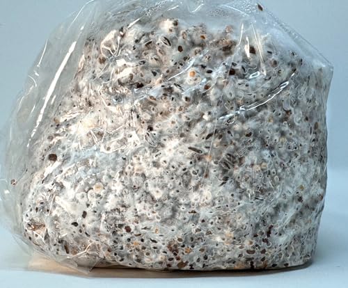 Bolsas de Spawn de Champiñones Premium Myco Labs de 5 Granos | Grano Esterilizado con Puertos de Inyección | 2 Cuartos por Bolsa | 2 Bolsas por Caja - imagen 4
