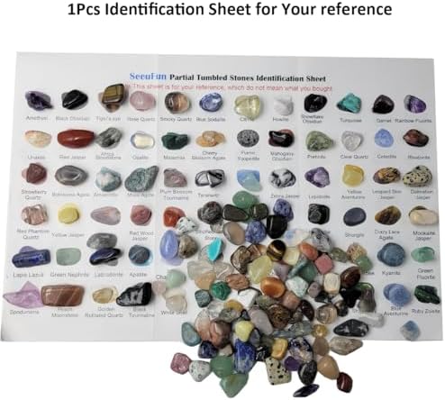 Set de 800 Piezas de Gemas y Cristales (1.36 kg), 30 Tipos de Rocas y Minerales, Kit de Ciencia, Colección de Rocas para Niños, Cristales Pulidos y - imagen 5