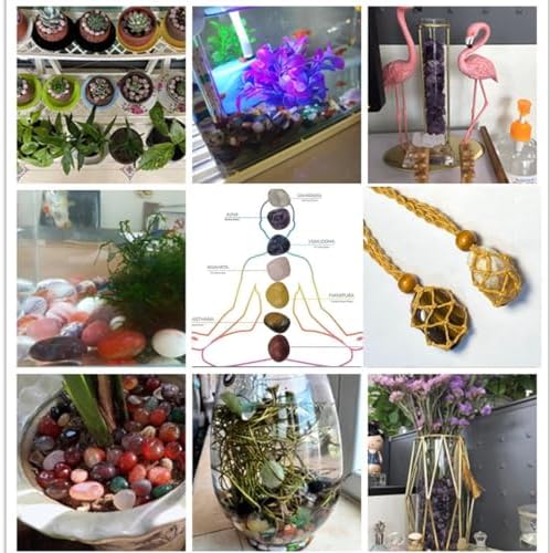 Set de 800 Piezas de Gemas y Cristales (1.36 kg), 30 Tipos de Rocas y Minerales, Kit de Ciencia, Colección de Rocas para Niños, Cristales Pulidos y - imagen 6