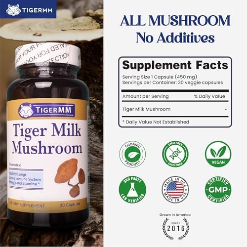 Hongo Leche de Tigre (Lignosus rhinocerotis) 450mg - Soporte Respiratorio e Inmunológico en Cápsulas - imagen 3