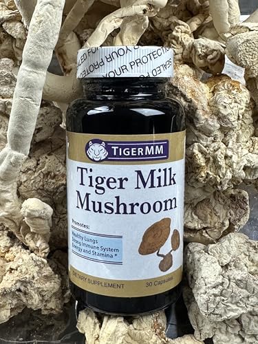 Hongo Leche de Tigre (Lignosus rhinocerotis) 450mg - Soporte Respiratorio e Inmunológico en Cápsulas - imagen 5