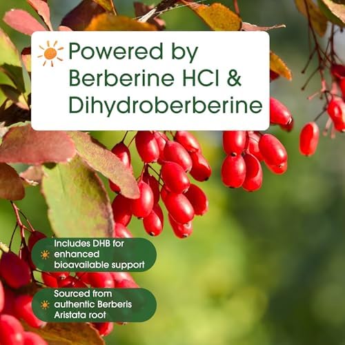 NatureBell Dihidroberberina con Berberina HCl - 120 Cápsulas Vegetarianas - Complejo de 500mg para Alta Absorción - Apoyo para Azúcar y Salud - imagen 6