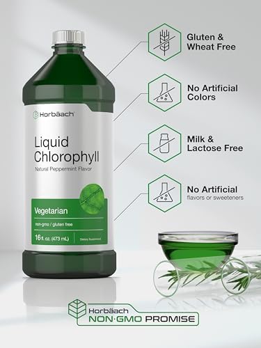 Gotas Líquidas de Clorofila Horbäach | 100mg | 32 oz (2 Botellas de 16 oz) | Sabor Natural a Menta | Suplemento Vegetariano, No GMO, Sin Gluten - imagen 5