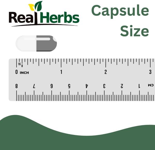 Extracto de Raíz de Ortiga Real Herbs 750mg (Extracto 10:1) por Cápsula, No GMO, Libre de Gluten, Cápsulas Vegetarianas, 100 Contenidos - imagen 6