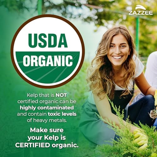 Zazzee Extracto de Algas Kelp Orgánicas USDA 30:1, 300 mcg por Cápsula, 120 Cápsulas Veganas, Suministro para 4 Meses, Algas Noruegas Cosechadas del - imagen 2