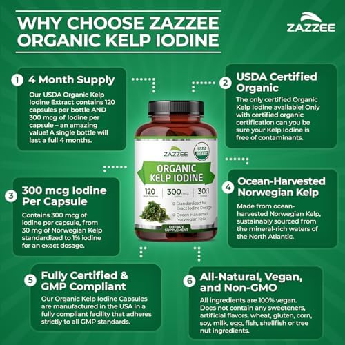Zazzee Extracto de Algas Kelp Orgánicas USDA 30:1, 300 mcg por Cápsula, 120 Cápsulas Veganas, Suministro para 4 Meses, Algas Noruegas Cosechadas del - imagen 7