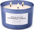Vela Aromática de Soja Eucalipto Bosque Verde de 3 Mechas | 15.8 oz | Aroma Fresco de Abeto | Larga Duración y Limpia | Ideal para Regalo - imagen 1