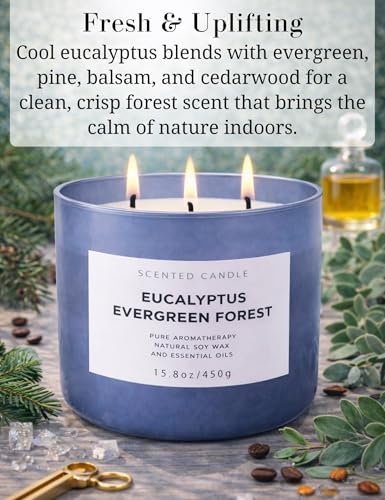 Vela Aromática de Soja Eucalipto Bosque Verde de 3 Mechas | 15.8 oz | Aroma Fresco de Abeto | Larga Duración y Limpia | Ideal para Regalo - imagen 2