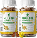 Paquete de 2 Mulas de 9 en 1 para Limpieza Pulmonar y Drenaje Linfático, Extracto de Hoja de Mullein Extra Fuerte con Quercetina, Bromelina, Saúco y - imagen 1
