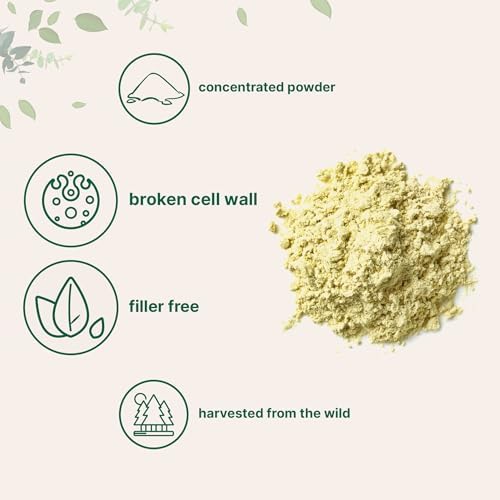 Polvo de Polen de Pino Puro, 6 Onzas, Cosecha Silvestre y Pared Celular Rota, Apoya la Salud Inmunológica, Aumenta Energía, Antioxidante y - imagen 3