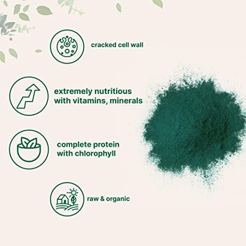 Chlorella Orgánica en Polvo, 10 Onzas, Pared Celular Rota, Rica en Proteínas y Vitaminas Veganas, Suplemento Premium Crudo, Amigable con Veganos - imagen 3