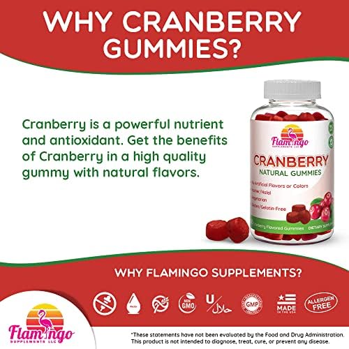 Gomitas de Arándano 1000 mg - Suplemento Alternativo a Pastillas o Jugo de Arándano para Mujeres, Hombres y Niños. Salud del Tracto Urinario, Alivio - imagen 4