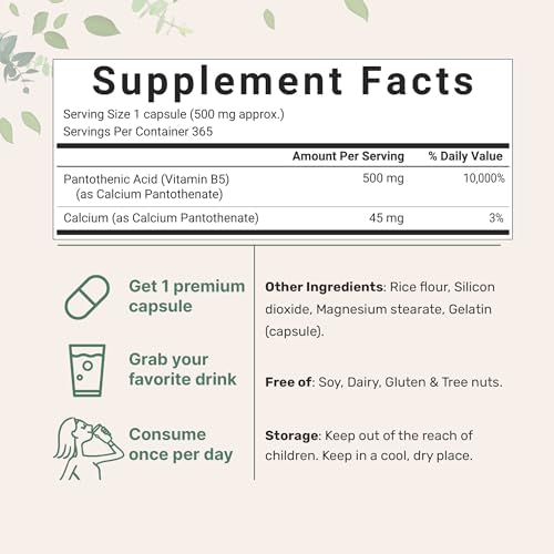 Suplemento de Ácido Pantoténico Vitamina B5, 500mg por Cápsula, 365 Cápsulas (Suministro para 1 Año), Vitamina B-Complejo, Apoya la Energía y el - imagen 2