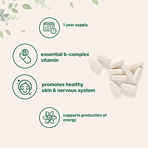 Suplemento de Ácido Pantoténico Vitamina B5, 500mg por Cápsula, 365 Cápsulas (Suministro para 1 Año), Vitamina B-Complejo, Apoya la Energía y el - imagen 3