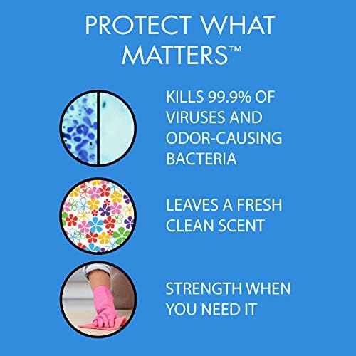 Desinfectante en Spray Theochem In-Cide Registrado por la EPA - Elimina 99.9% de Gérmenes, Moho y MRSA - Limpiador Multiusos para Casa, Escuela y - imagen 7
