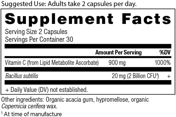 Suplemento de Probióticos y Vitamina C Ancient Nutrition, Apoya el Sistema Inmunológico y la Salud Digestiva, Sin GMOs, 30 Porciones, Paleo y Keto - imagen 2