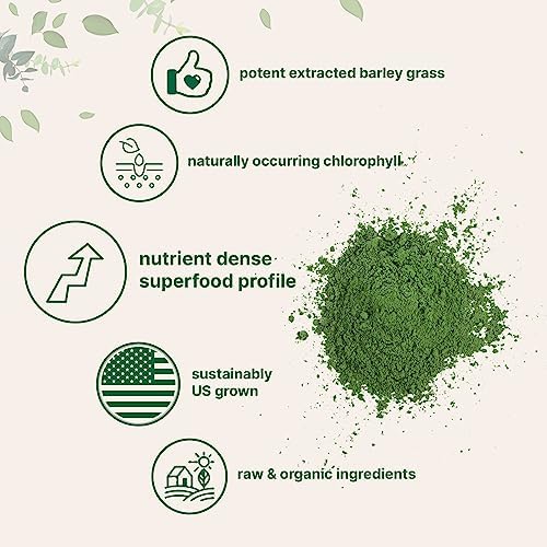 Polvo de Césped de Cebada Orgánico, 16 Onzas | Cultivado en EE. UU. | Rico en Vitaminas, Minerales, Fibras y Antioxidantes | Superalimento para la - imagen 4