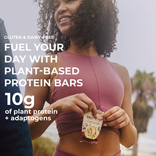 Barras de Proteína Funcionales Laird Superfood – Mejor que una barra de proteína, con ingredientes reales, 10g de proteína vegetal, 6g de fibra - Sin - imagen 6
