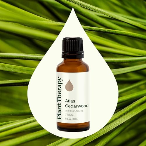 Aceite Esencial de Madera de Cedro Atlas Plant Therapy 30 mL (1 oz) 100% Puro, Sin Diluir, Grado Terapéutico - imagen 3
