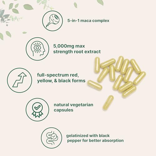 Cápsulas de Raíz de Maca para Hombres y Mujeres 5,000mg | 240 Cápsulas Veganas con Ashwagandha, Maca Roja, Negra y Amarilla, Ginseng Panax, Tongkat - imagen 3