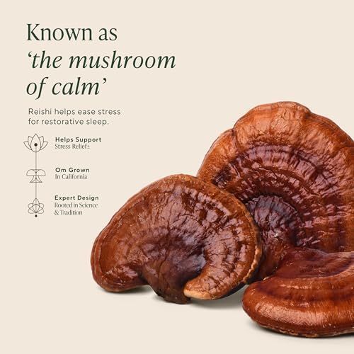 Cápsulas de Hongos OM Superfood para Dormir, Suplemento de 90 Cápsulas, Reishi, GABA, L-Teanina, Melatonina para Mejorar el Sueño y Descanso - imagen 3