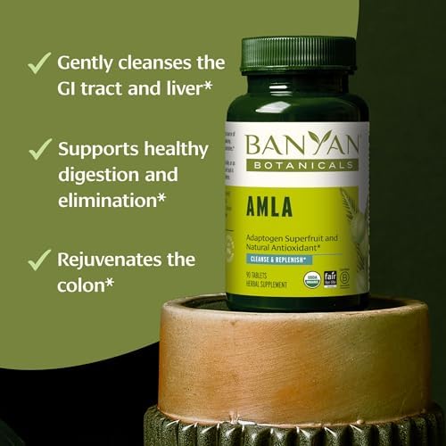 Tabletas Orgánicas de Amla Banyan Botanicals - Vitamina C Natural para el Colágeno y la Salud Inmunológica - Amalaki para Piel Radiante, Cabello y - imagen 2