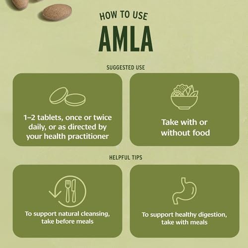 Tabletas Orgánicas de Amla Banyan Botanicals - Vitamina C Natural para el Colágeno y la Salud Inmunológica - Amalaki para Piel Radiante, Cabello y - imagen 7