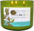 Vela Aromática de Eucalipto y Menta | 15.8 oz | Vela de Soja de 3 Mechas | Scent Spa Fresco | Regalo Ideal para Relajación y Yoga - imagen 1