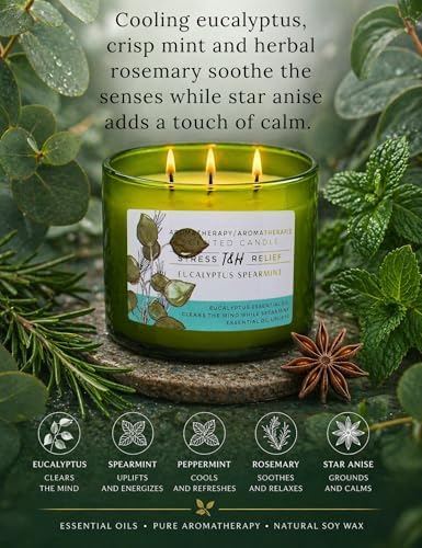 Vela Aromática de Eucalipto y Menta | 15.8 oz | Vela de Soja de 3 Mechas | Scent Spa Fresco | Regalo Ideal para Relajación y Yoga - imagen 2