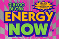 Caja de 24 unidades de Ginkgo Biloba Energy Now - imagen 1