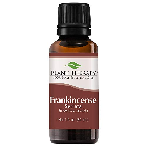 Aceite Esencial de Incienso (Serrata) Plant Therapy, 30 mL (1 oz), 100% Puro y Sin Diluir, Ideal para Cuidado de la Piel y Difusores - imagen 3