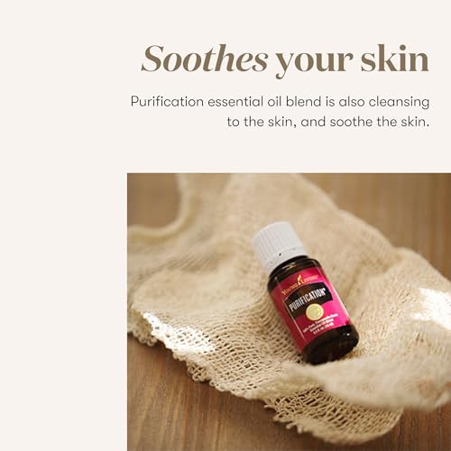 Aceites Esenciales de Purificación 5ml de Young Living Essential Oils - imagen 5