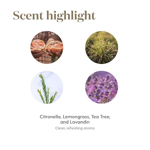 Aceites Esenciales de Purificación 5ml de Young Living Essential Oils - imagen 7