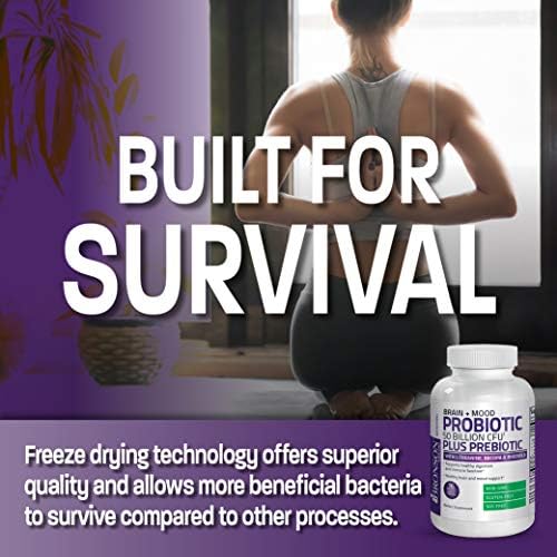 Probiotico Bronson Brain + Mood 50 Mil Millones CFU con Prebiótico, L-Theanina, Bacopa y Rhodiola, 60 Cápsulas Vegetarianas Non-GMO - imagen 4