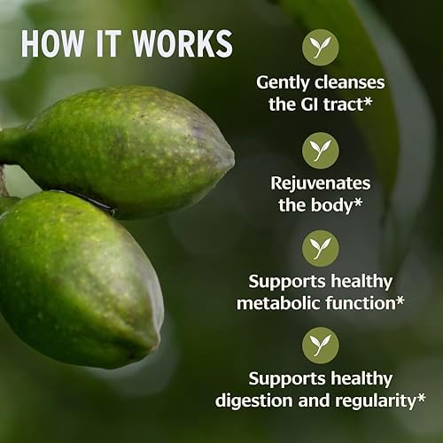 Tabletas Orgánicas de Haritaki Banyan Botanicals – Limpieza Natural del Colon y Soporte Digestivo – Suplemento Detox Interno – 90 Tabletas – USDA - imagen 3