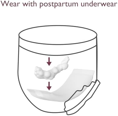 Ropa Interior Desechable Postparto Momcozy, 12 Piezas, Sin Fugas, Con Almohadilla Integrada, Para Mujeres y Mamás, Cuidado Tras el Parto, Color Blanco - imagen 5