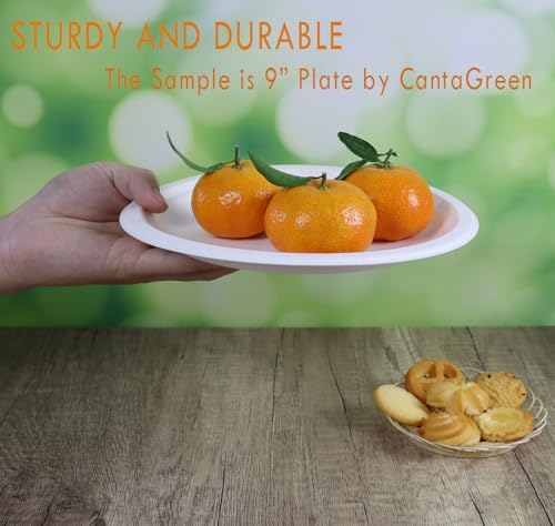 Platos Desechables Compostables CantaGreen de 6 Pulgadas, 200 Piezas, Hechos de Bagazo y Fibra de Bambú, Resistentes y Biodegradables - imagen 4