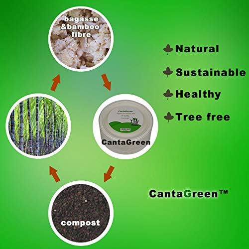 Platos Desechables Compostables CantaGreen de 6 Pulgadas, 200 Piezas, Hechos de Bagazo y Fibra de Bambú, Resistentes y Biodegradables - imagen 5